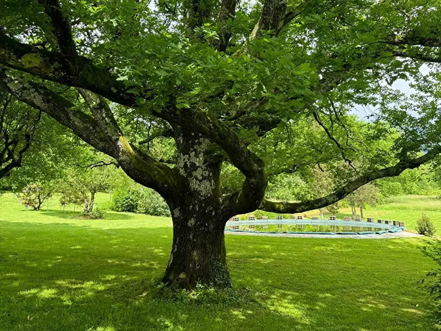 Immagine 57 di Casa colonica in vendita  a Capannori