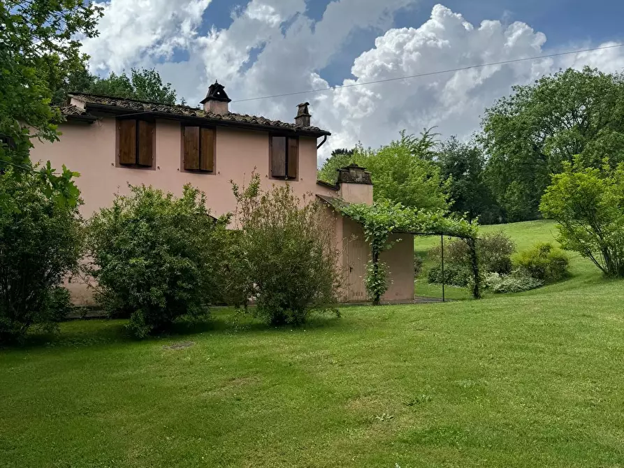 Immagine 51 di Casa colonica in vendita  a Capannori
