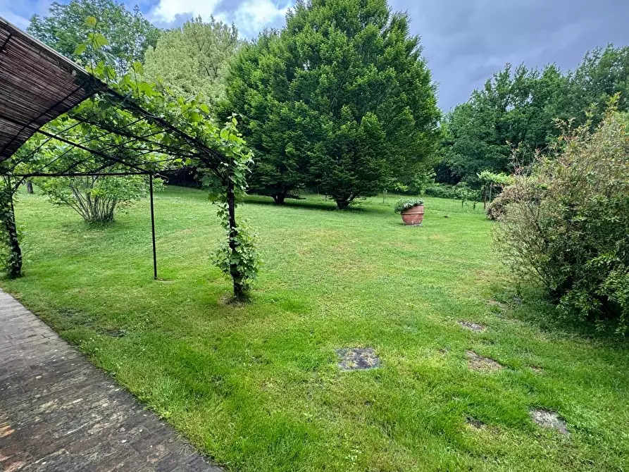 Immagine 74 di Casa colonica in vendita  a Capannori