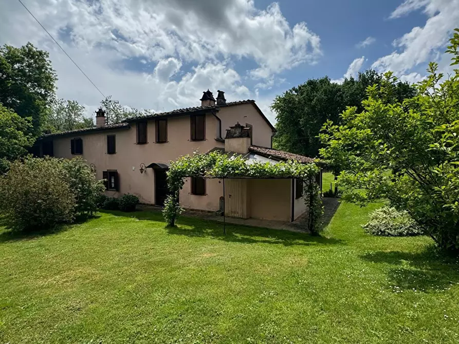 Immagine 61 di Casa colonica in vendita  a Capannori
