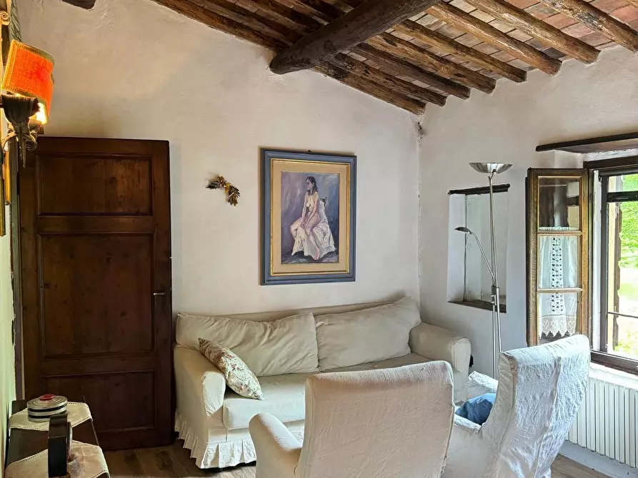 Immagine 40 di Casa colonica in vendita  a Capannori