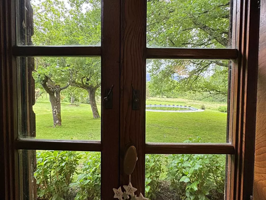 Immagine 62 di Casa colonica in vendita  a Capannori