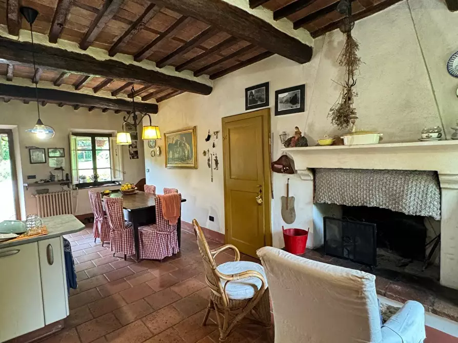 Immagine 46 di Casa colonica in vendita  a Capannori