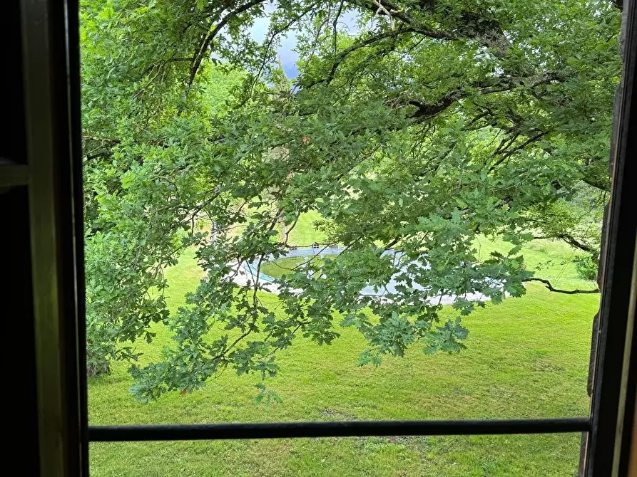 Immagine 38 di Casa colonica in vendita  a Capannori