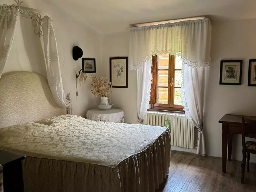 Immagine 21 di Casa colonica in vendita  a Capannori