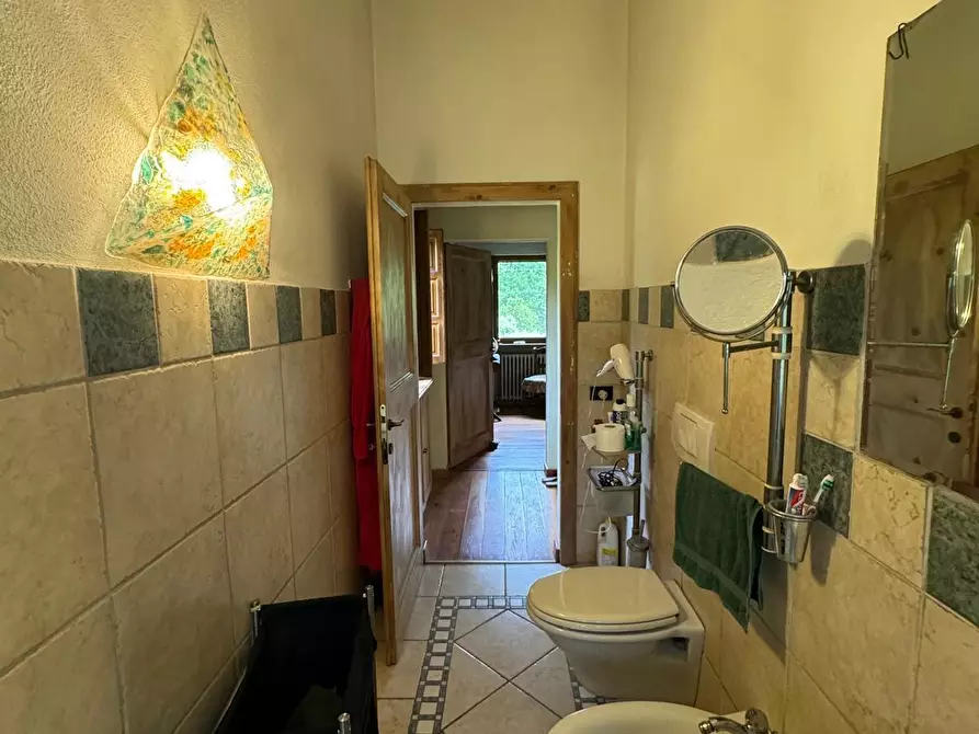 Immagine 7 di Casa colonica in vendita  a Capannori