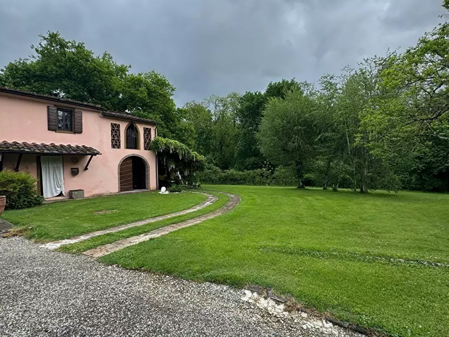 Immagine 64 di Casa colonica in vendita  a Capannori