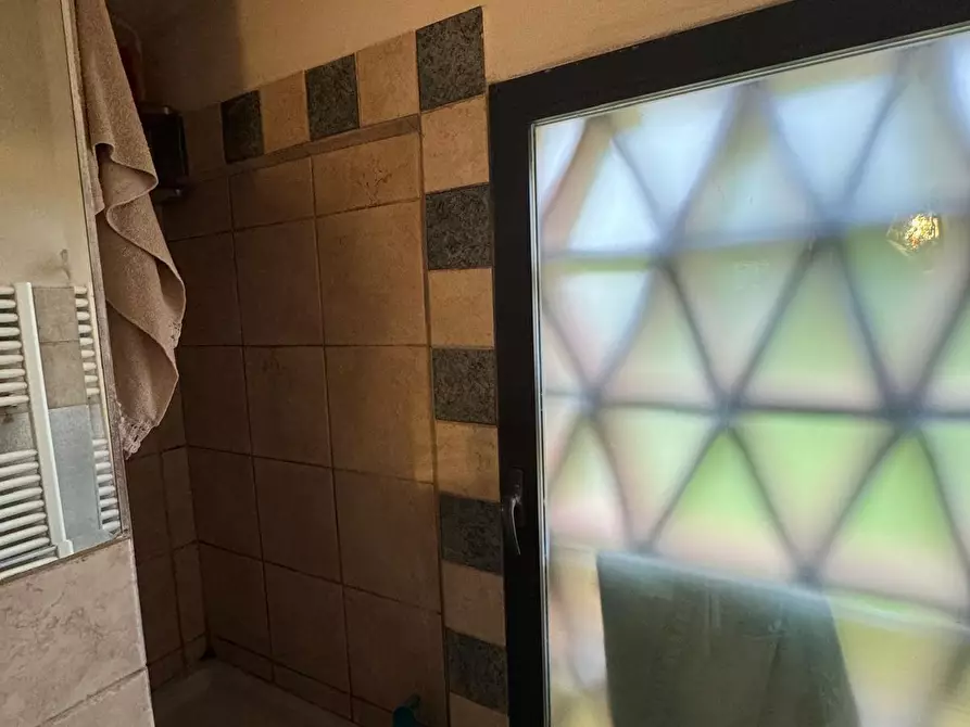 Immagine 8 di Casa colonica in vendita  a Capannori