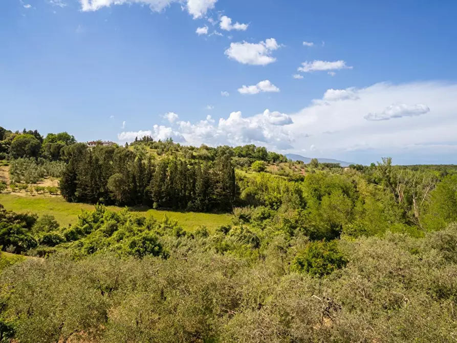 Immagine 17 di Terratetto in vendita  a Casciana Terme Lari