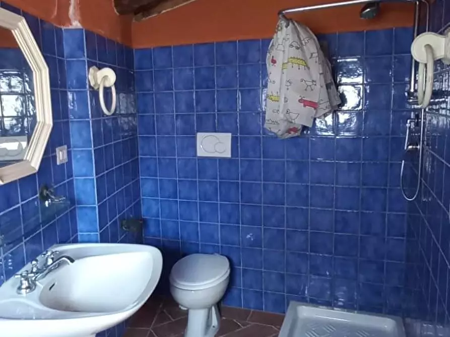 Immagine 25 di Terratetto in vendita  a Casciana Terme Lari