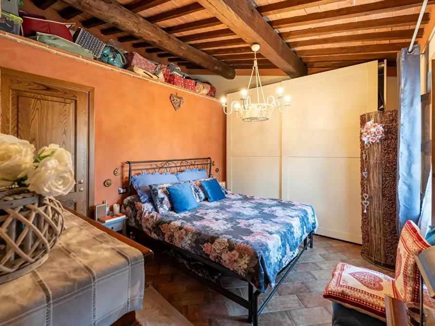 Immagine 10 di Terratetto in vendita  a Casciana Terme Lari