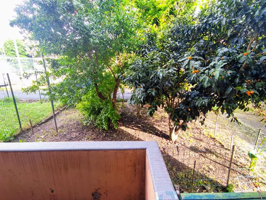 Immagine 16 di Casa semindipendente in vendita  a Vezzano Ligure