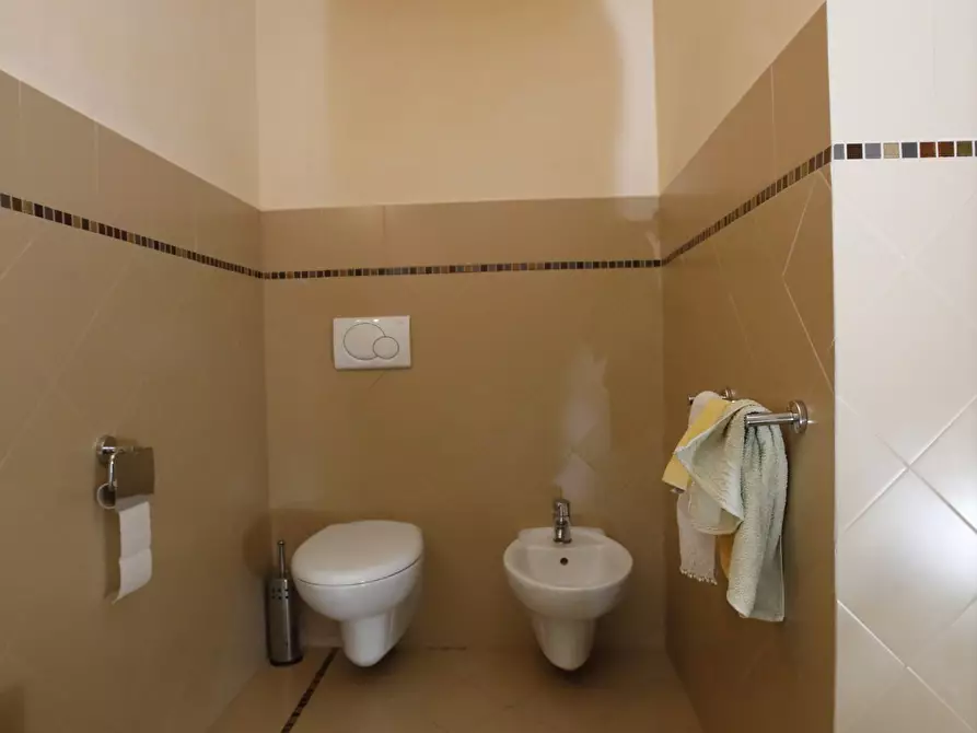 Immagine 30 di Terratetto in vendita  a Crespina Lorenzana