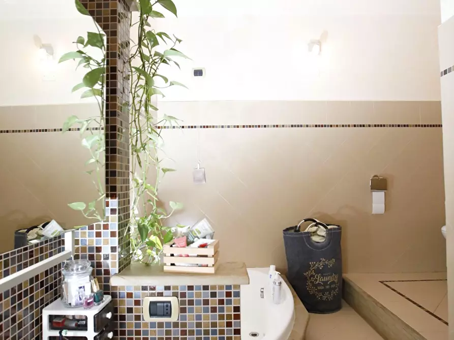 Immagine 28 di Terratetto in vendita  a Crespina Lorenzana