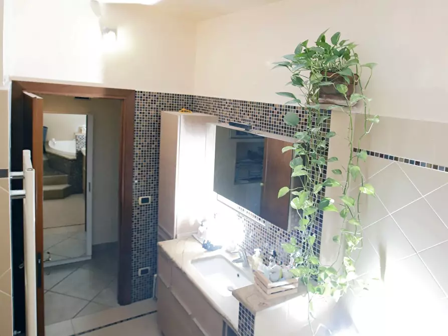 Immagine 31 di Terratetto in vendita  a Crespina Lorenzana