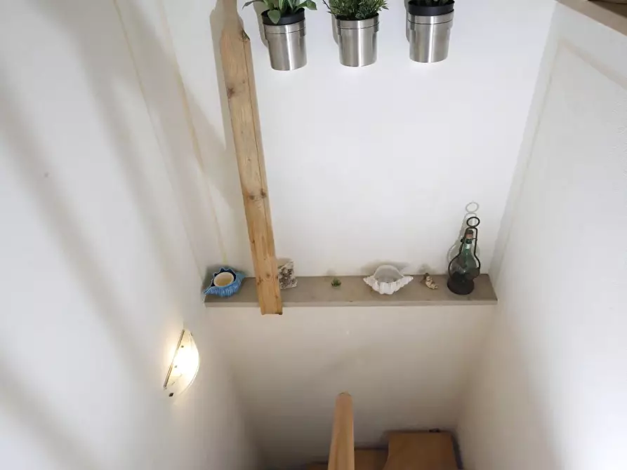 Immagine 15 di Terratetto in vendita  a Crespina Lorenzana