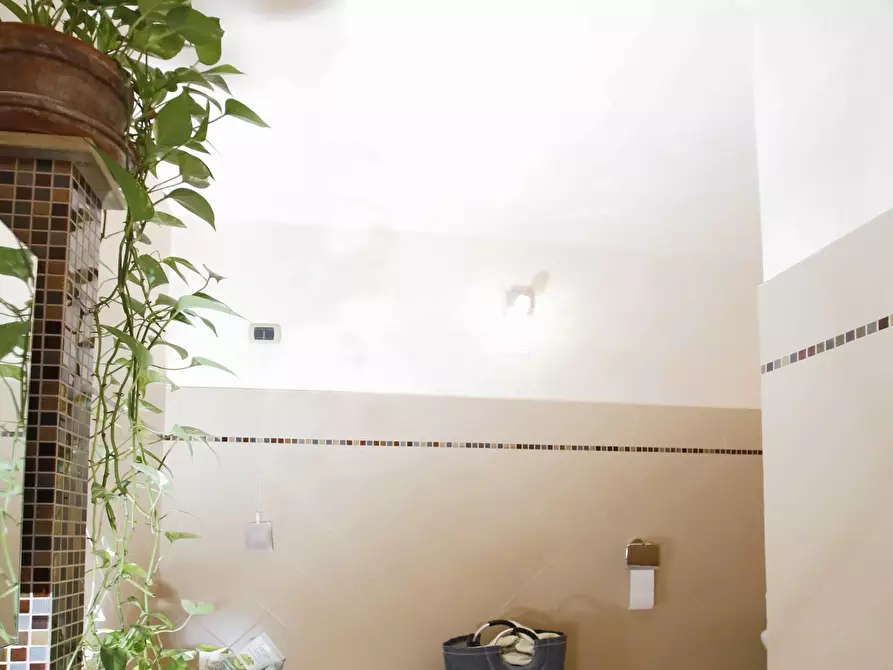 Immagine 29 di Terratetto in vendita  a Crespina Lorenzana