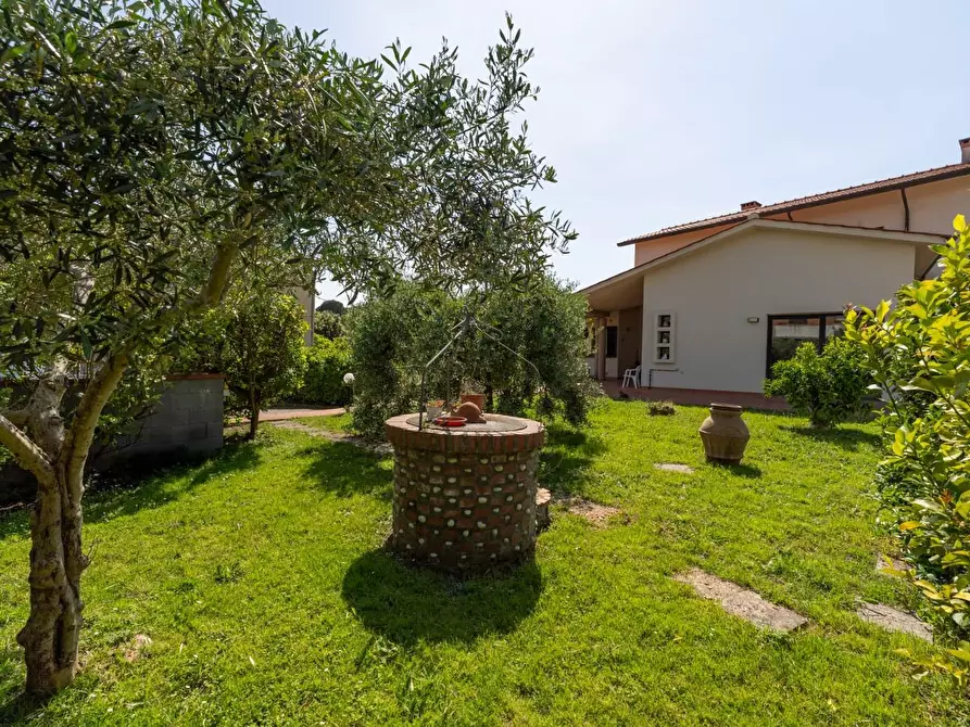 Immagine 2 di Casa indipendente in vendita  a Crespina Lorenzana