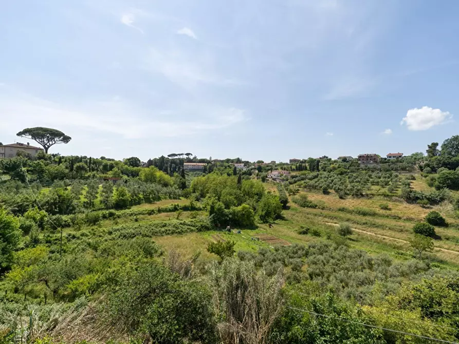Immagine 39 di Casa indipendente in vendita  a Crespina Lorenzana