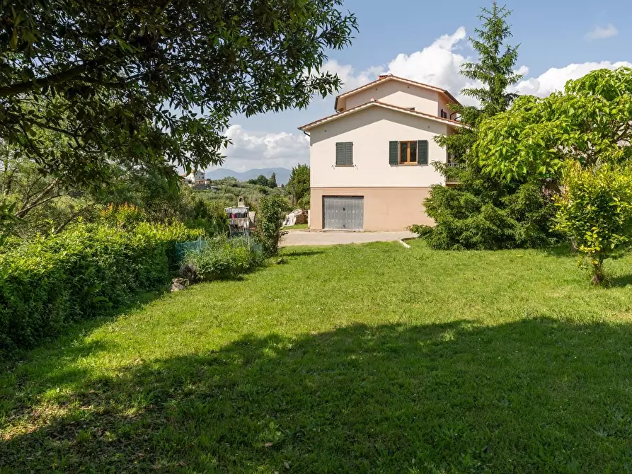 Immagine 30 di Casa indipendente in vendita  a Crespina Lorenzana