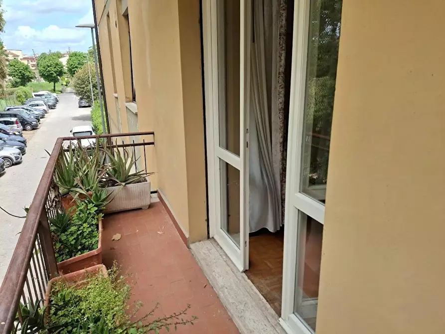 Immagine 14 di Appartamento in vendita  a Pisa