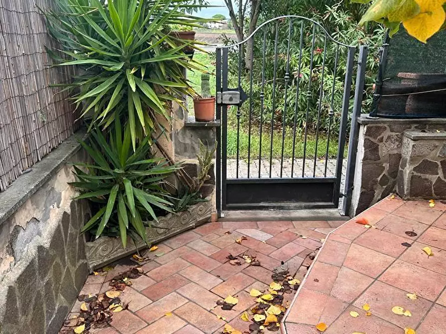 Immagine 14 di Villetta a schiera in vendita  a Campiglia Marittima