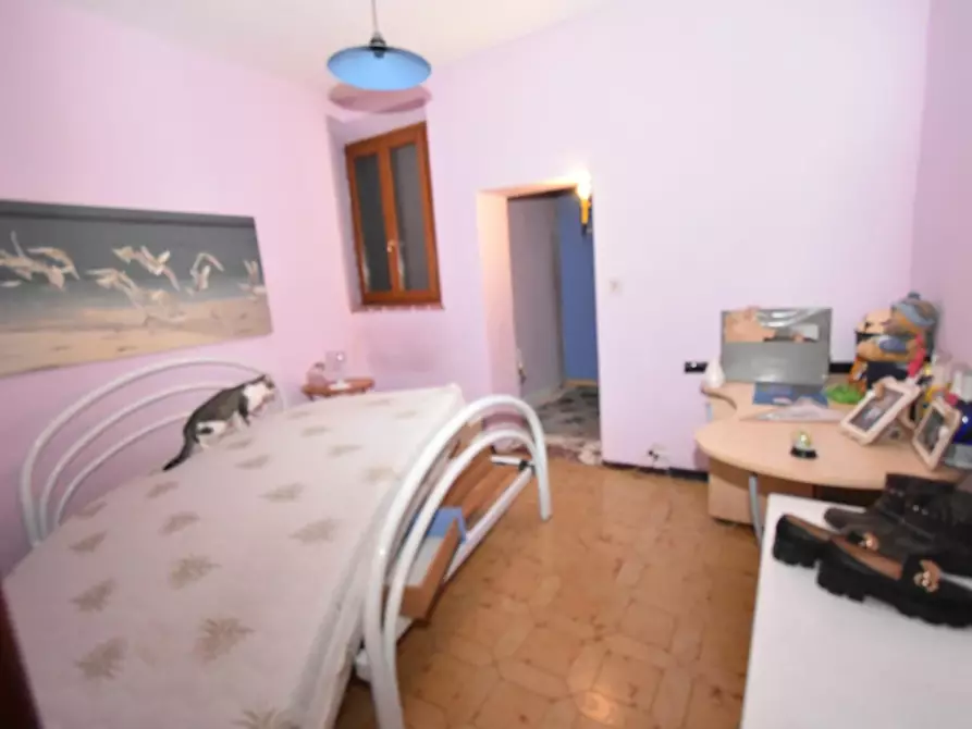 Immagine 39 di Appartamento in vendita  a Lucca