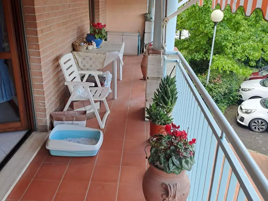 Immagine 4 di Appartamento in vendita  a Ponsacco