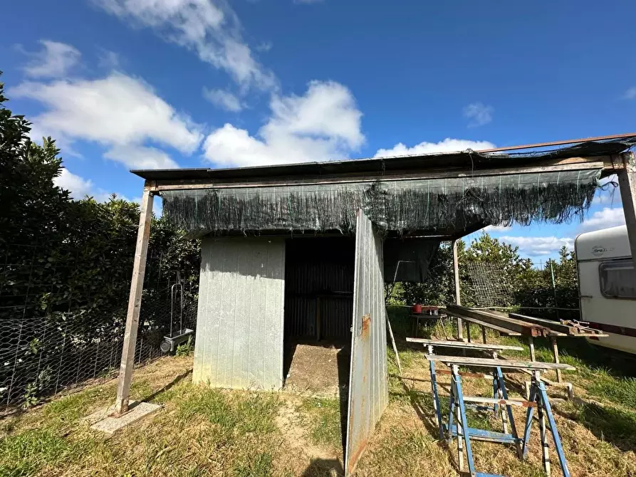 Immagine 8 di Terreno agricolo in vendita  a Campiglia Marittima