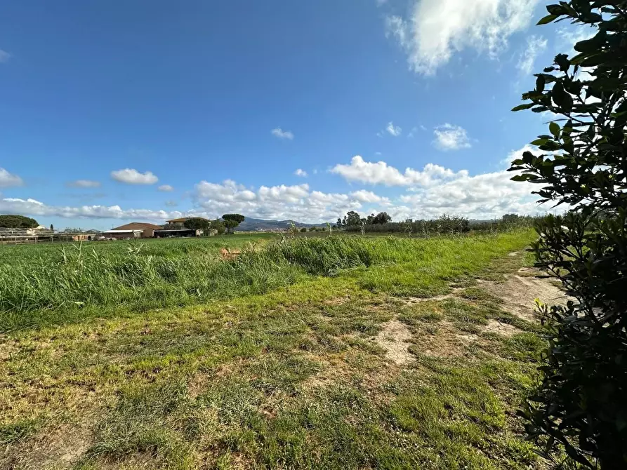 Immagine 11 di Terreno agricolo in vendita  a Campiglia Marittima