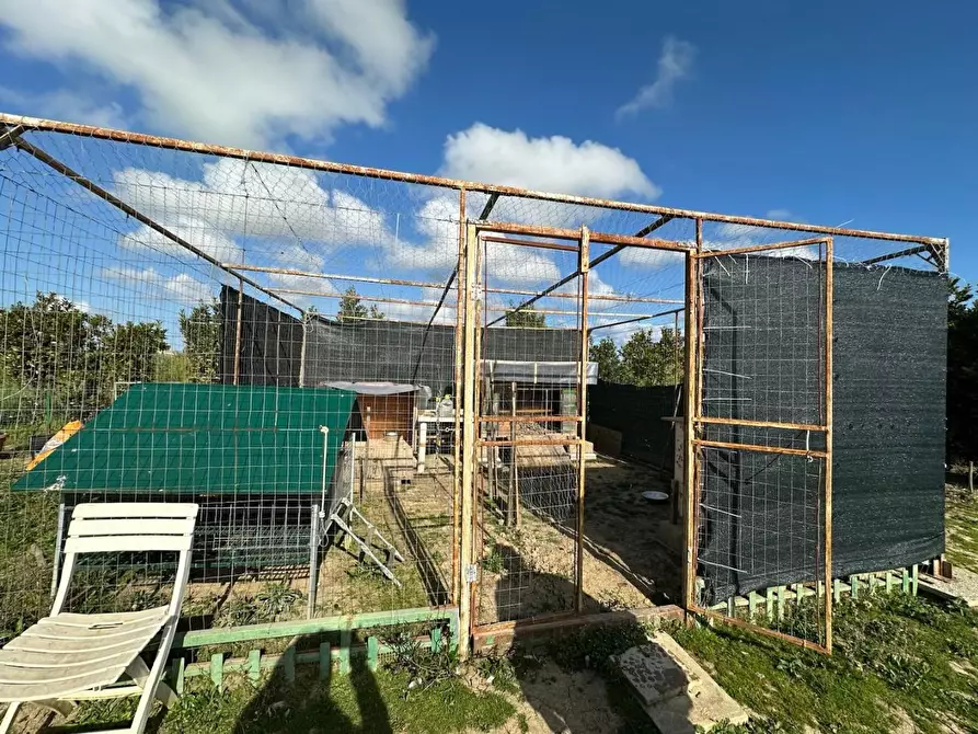 Immagine 6 di Terreno agricolo in vendita  a Campiglia Marittima
