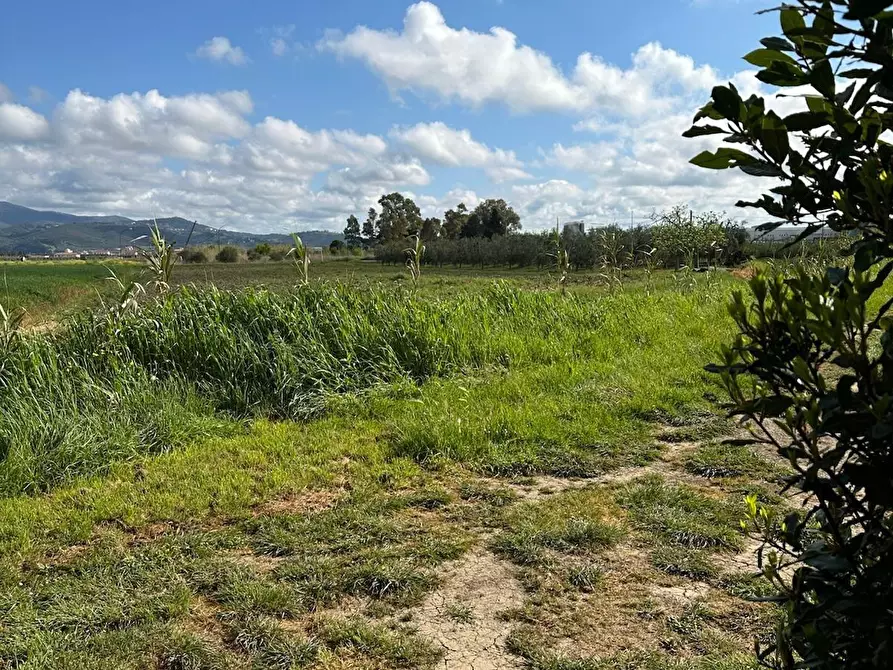 Immagine 10 di Terreno agricolo in vendita  a Campiglia Marittima