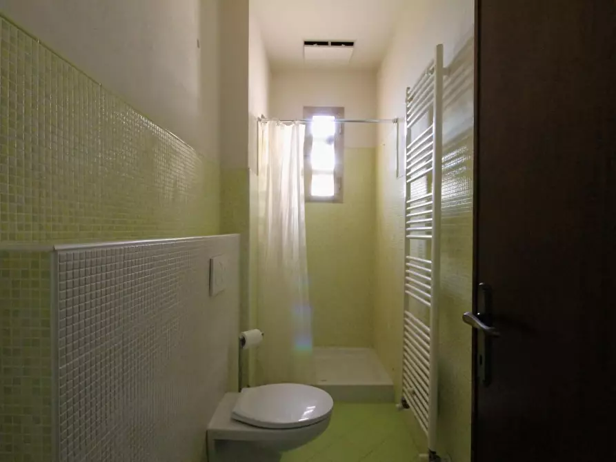 Immagine 9 di Locale commerciale in affitto  a Capannori