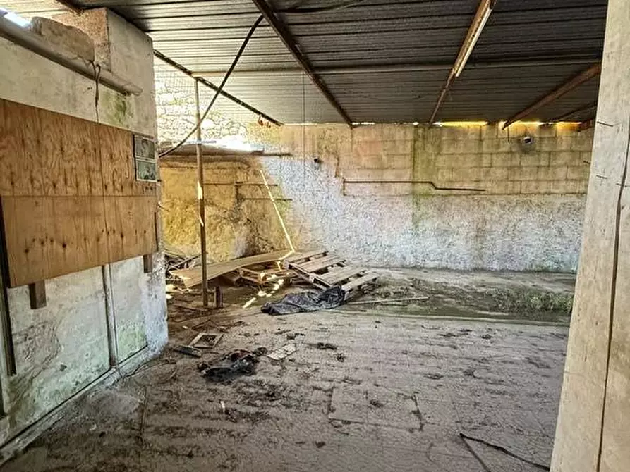 Immagine 26 di Appartamento in vendita  a Alessano