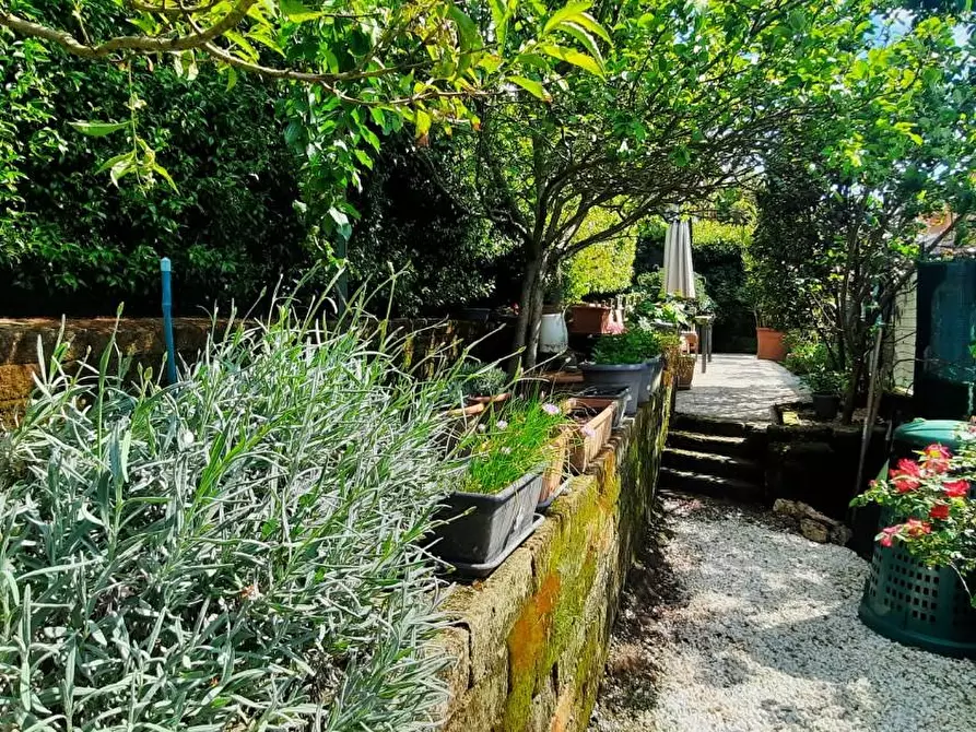 Immagine 19 di Appartamento in vendita  a Montopoli In Val D'arno