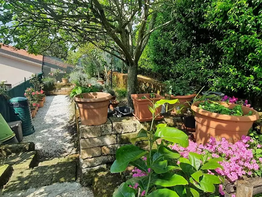 Immagine 18 di Appartamento in vendita  a Montopoli In Val D'arno