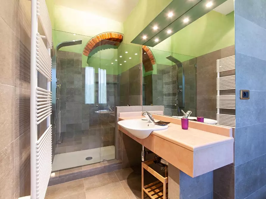 Immagine 17 di Casa colonica in vendita  a Lucca