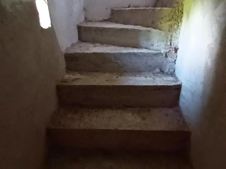 Immagine 18 di Rustico / casale in vendita  a Capannori