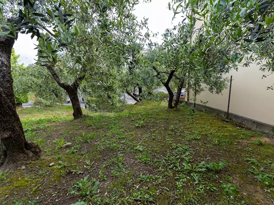 Immagine 7 di Terratetto in vendita  a Lamporecchio