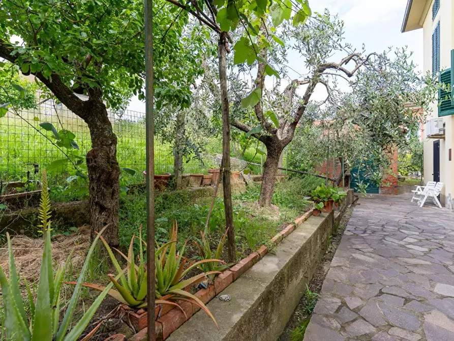 Immagine 5 di Terratetto in vendita  a Lamporecchio