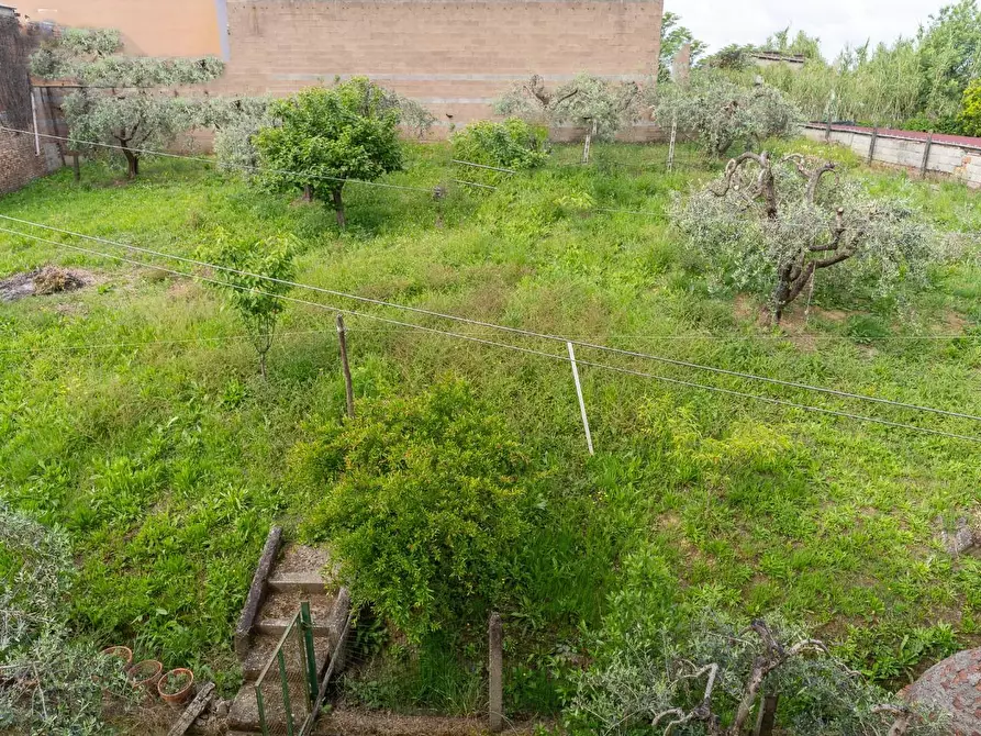 Immagine 8 di Terratetto in vendita  a Lamporecchio