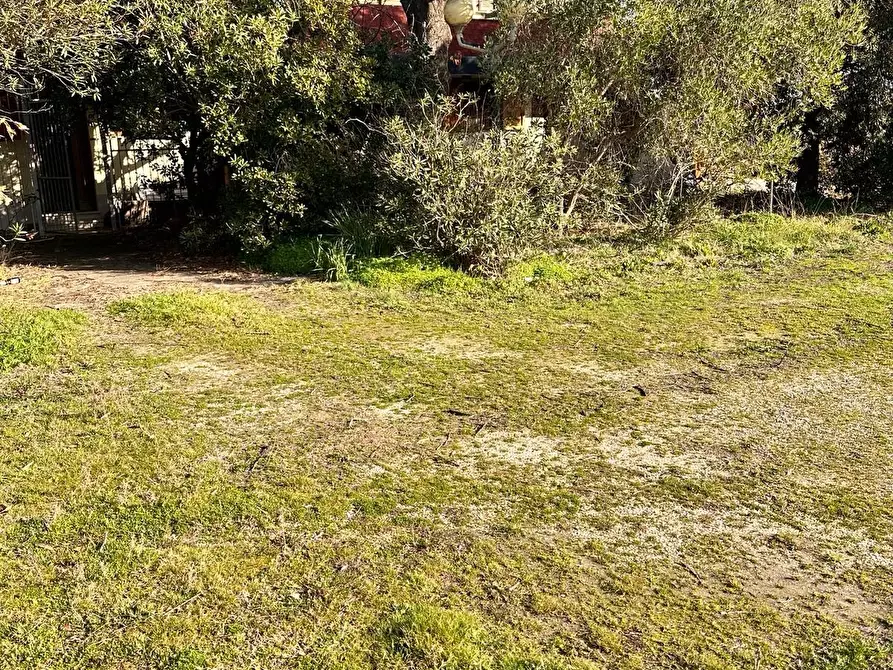 Immagine 7 di Casa bifamiliare in vendita  a Piombino