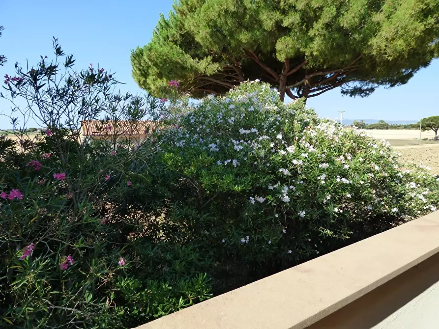 Immagine 6 di Casa bifamiliare in vendita  a Piombino