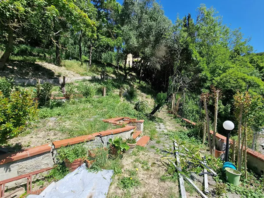 appartamento in vendita a Signa