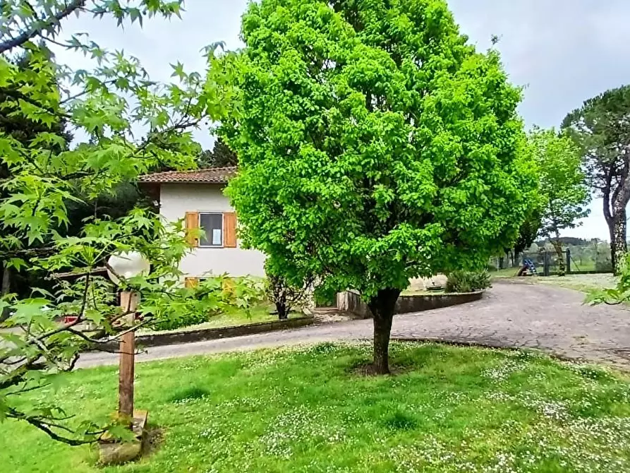 Immagine 12 di Villa in vendita  a Montelupo Fiorentino
