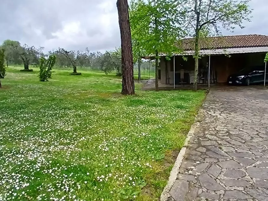 Immagine 2 di Villa in vendita  a Montelupo Fiorentino