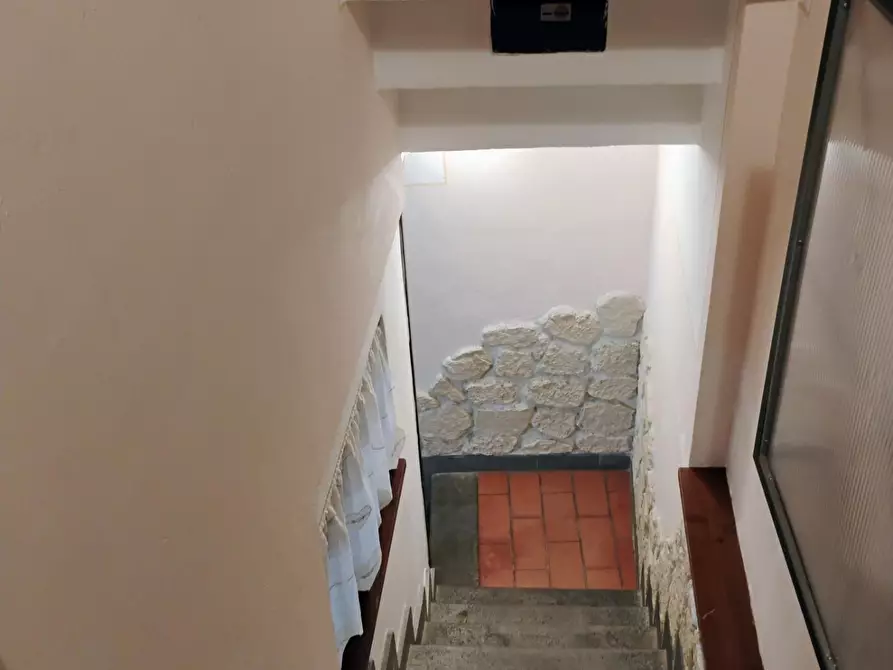 Immagine 4 di Appartamento in vendita  a Fauglia