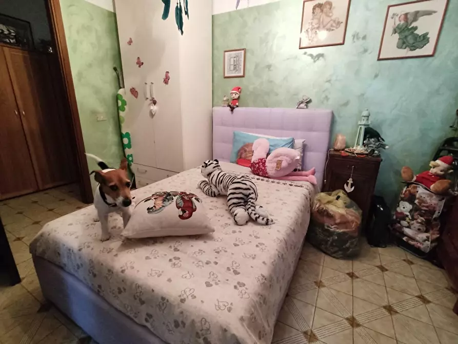 Immagine 19 di Appartamento in vendita  a Seravezza