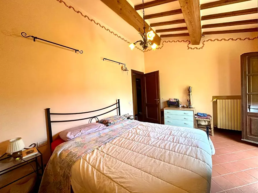 Immagine 16 di Rustico / casale in vendita  a Capannori