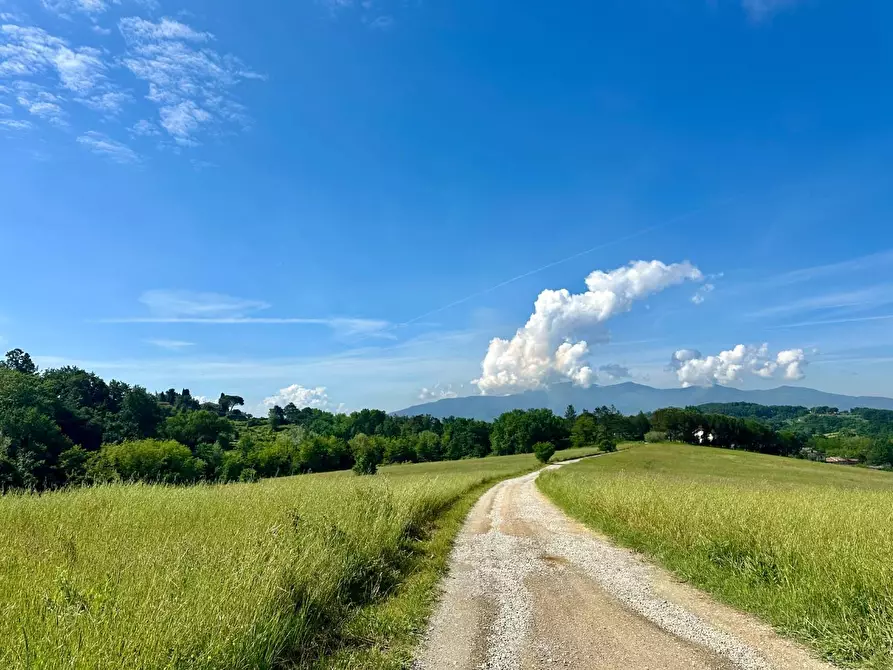 Immagine 36 di Rustico / casale in vendita  a Capannori